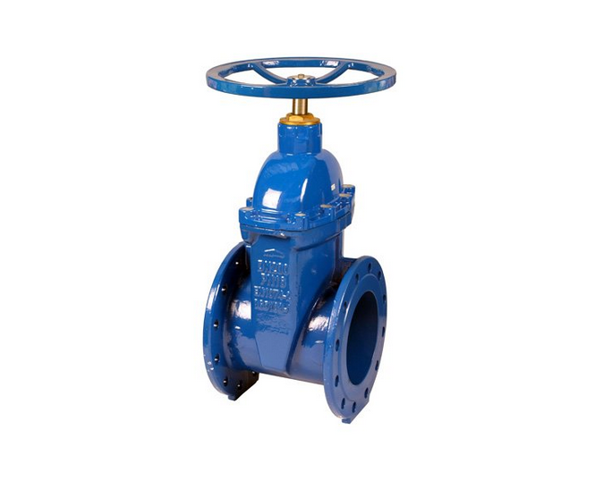 Flanged Gate Valves