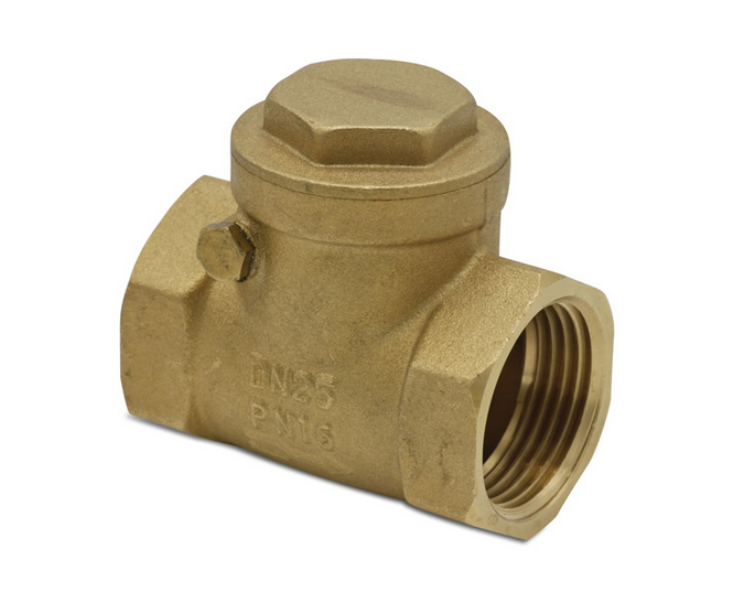 Swing Check Valves