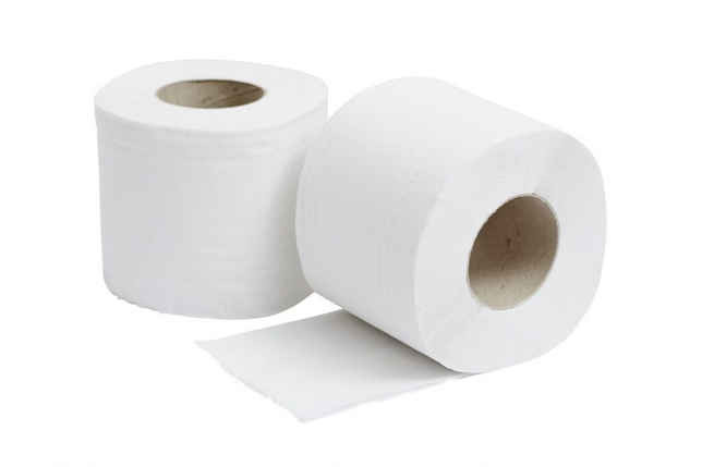 Twin Ply Toilet Paper Rolls