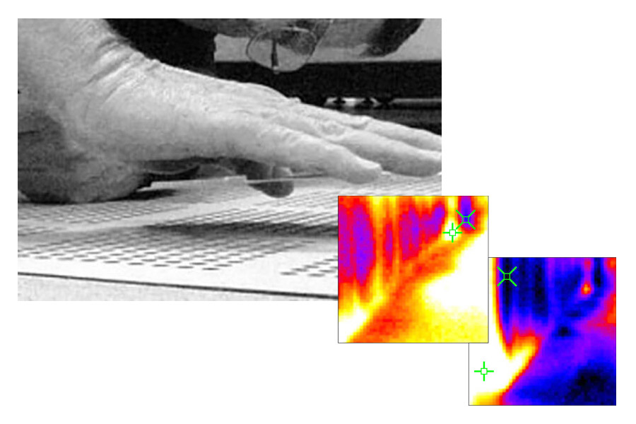 Thermal Audit