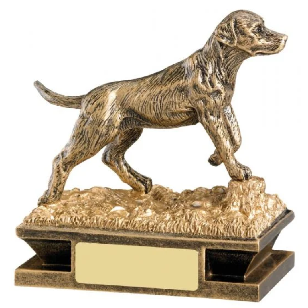 Dog Trophies