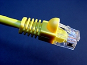 Cat 6 Network Cabling