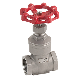 BSP Stainless Steel Gate Valve 200PSI