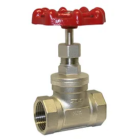 BSP Stainless Steel Globe Valve 200PSI