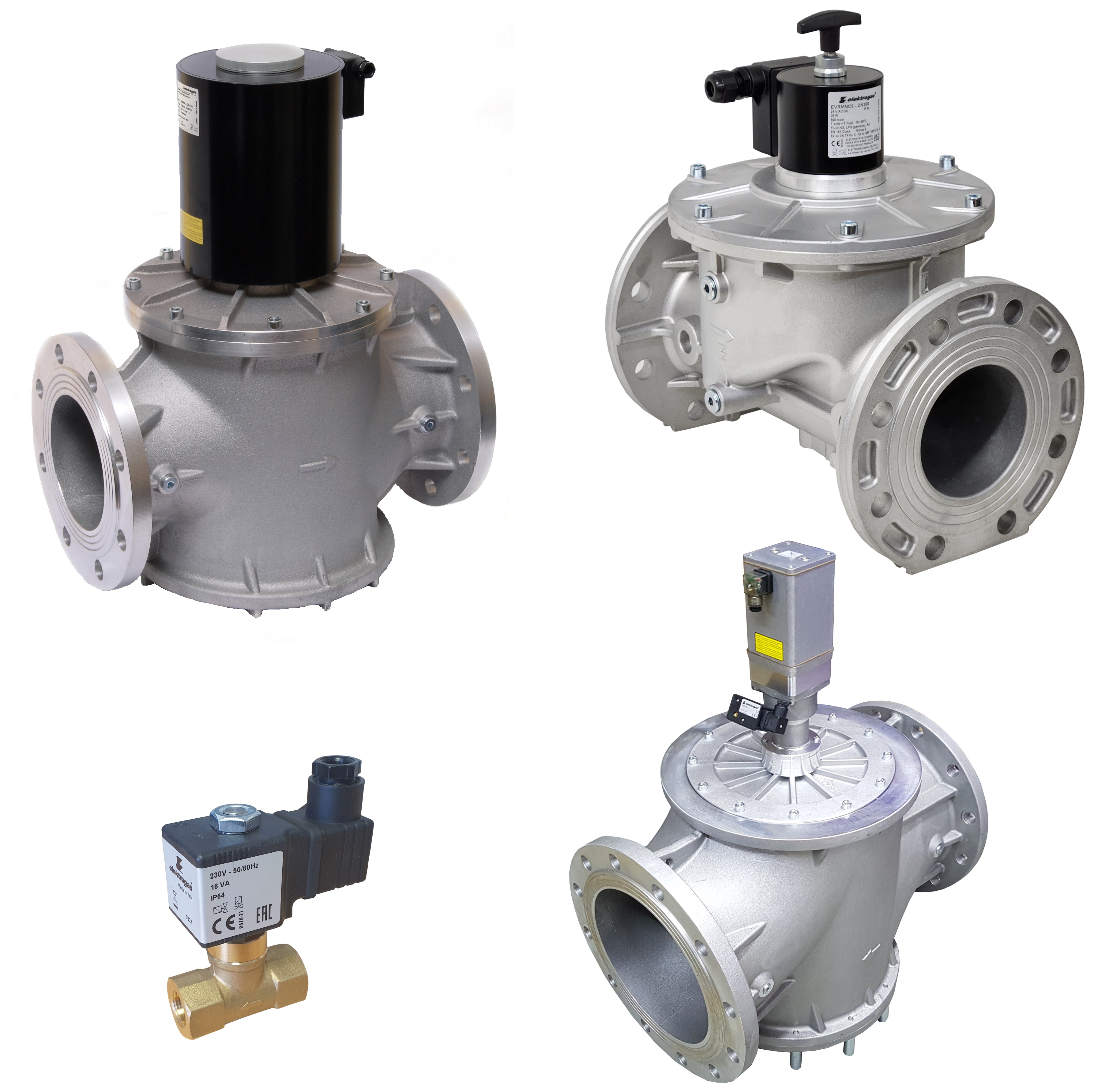 Natural Gas & BioGas Valves