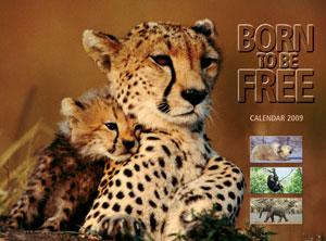 Wildlife Calendars