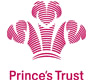 Princes Trust Logo